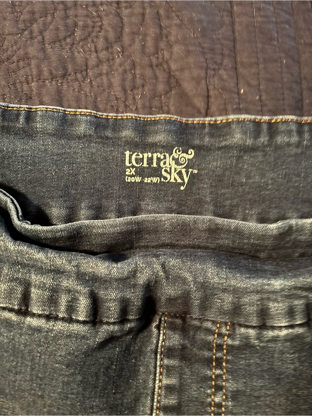 Terra & Sky Dark Wash Blue Jean Shorts